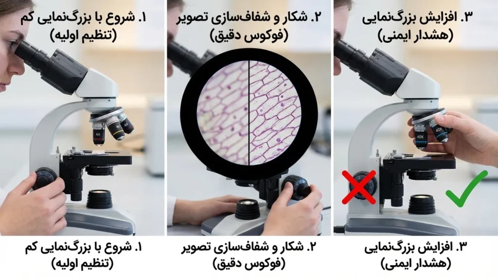 اینفوگرافیک مراحل سه‌گانه تنظیم فوکوس میکروسکوپ شامل شروع با بزرگ‌نمایی کم، شفاف‌سازی تصویر سلولی و هشدار استفاده صحیح از پیچ‌ها در بزرگ‌نمایی بالا.